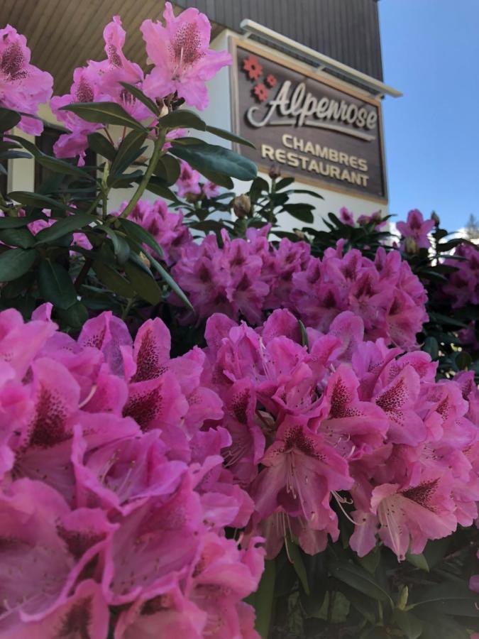 Alpenrose Chamonix Hostel Bagian luar foto